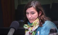 Ley de Género: "Salvarle la vida la mujeres sale plata, voluntad política y dinero"